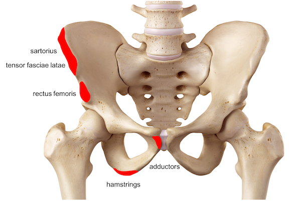 Pelvic fractures